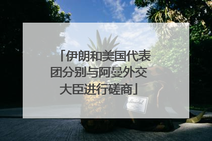 伊朗和美国代表团分别与阿曼外交大臣进行磋商